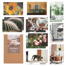 Load image into Gallery viewer, Monolike Mellow B Single card - mix 12 pack, greeting card, 3.9x5.8"
