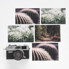 Load image into Gallery viewer, Monolike Mellow B Single card - mix 12 pack, greeting card, 3.9x5.8"
