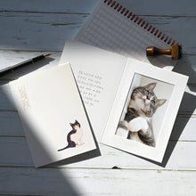 Load image into Gallery viewer, Monolike Paper Frame Photo Card Minhwa, Cat 5P SET - 4x6 Inch Picture Frame Note Card, Greeting cards, Assorted Happy Birthday, Thank you