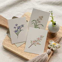 Load image into Gallery viewer, Monolike Day by Day Card, 120 The Old Garden - Mix 48 Mini Single cards, 24 envelopes Package
