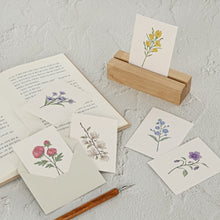 Load image into Gallery viewer, Monolike Day by Day Card, 120 The Old Garden - Mix 48 Mini Single cards, 24 envelopes Package