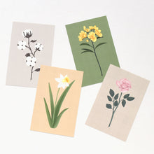 Load image into Gallery viewer, Monolike The Flower Postcards - mix 12 pack, emotional and sophisticated postcards