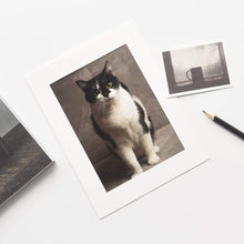 Load image into Gallery viewer, Monolike Slim&Light Paper Photo Frame Box Set 5x7 White 100 pcak - Fits 5"x7" Pictures