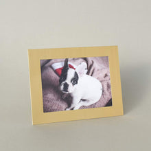 Load image into Gallery viewer, Monolike Standing Paper Frame 5x7 Metallic Series Matte Gold 10p 5x7Inch Size