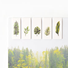 Load image into Gallery viewer, Monolike Magnetic Bookmarks Tropical, set of 5