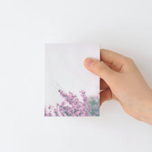 Load image into Gallery viewer, Monolike Memopad Spring Photo design SET - 4 Packs, 4 Different Designs, 100 Sheets Per Pad, Total 400 Sheets, Note pads, Writing pads, 3.15 x 4.17 Inches