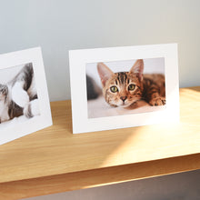 Load image into Gallery viewer, Monolike Standing Paper Frame 4x6 White 10p 4x6Inch Size