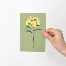 Load image into Gallery viewer, Monolike The Flower Single card - mix 12 pack
