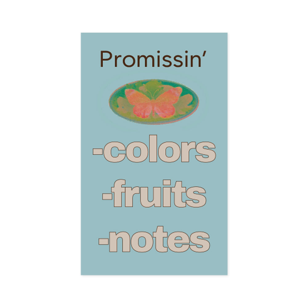 Monolike OrDinary Days PVC Handy Notebook, Butterfly - Exposed Binding, PVC cover, Academic, Journal, Diary, 160pages