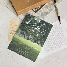 Load image into Gallery viewer, Monolike Capture the Life Green Letter Paper and Envelopes Set - 8Type, 32 Letter Paper + 16 Envelopes
