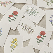 Load image into Gallery viewer, Monolike Day by Day Card, 120 The Old Garden - Mix 48 Mini Single cards, 24 envelopes Package
