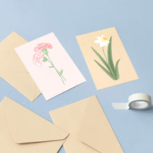 Load image into Gallery viewer, Monolike The Flower Postcards &amp; Envelopes SET [12 Postcards + 12 Envelopes SET]
