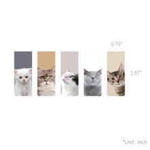 Load image into Gallery viewer, Monolike Magnetic Bookmarks My pet Cat, Set of 5
